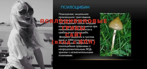 сатива Аркадак