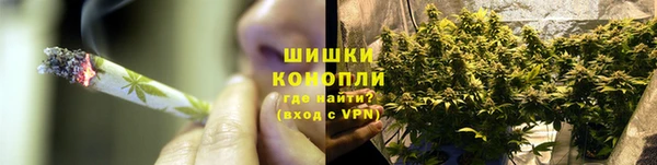 сатива Аркадак