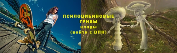 крисы Россошь
