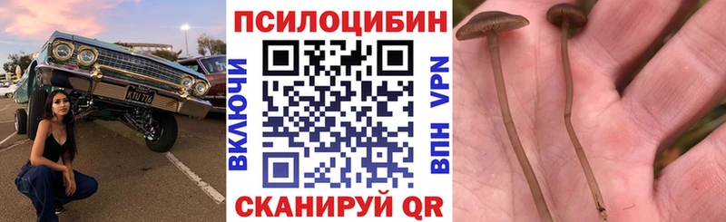 Псилоцибиновые грибы мухоморы  блэк спрут зеркало  Аркадак 